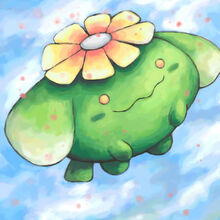 Skiploom banner