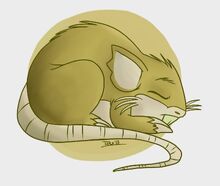 Raticate banner