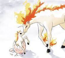 Rapidash banner