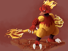 Magmar banner