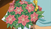 Gracidea bouquet