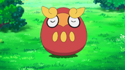 Darumaka sleeping
