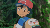 Ash and Rowlet