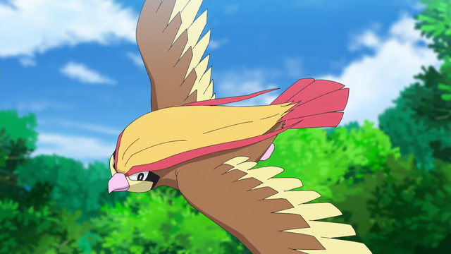 Plik:Ash Pidgeot.png
