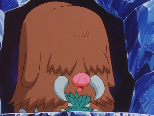 Plik:Pryce Piloswine.png