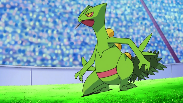 Plik:Ash Sceptile.png