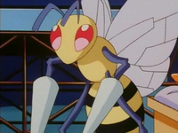 Casey Beedrill
