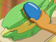 Electrike madera.png