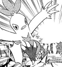 Chic Combusken.png
