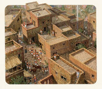 Town life 2