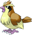 Pidgey
