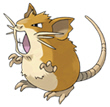 Raticate