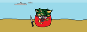 ROKMCball background
