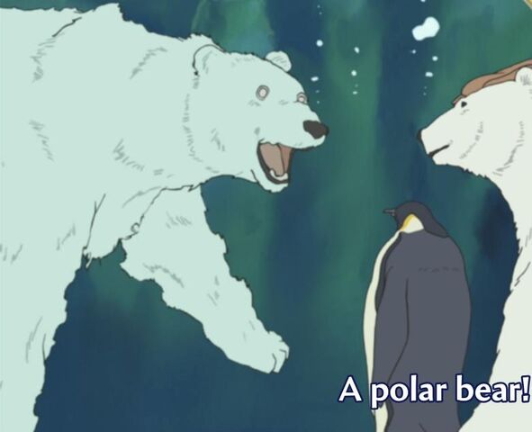 File:DivingPolarBear.jpg