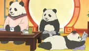 Pandas