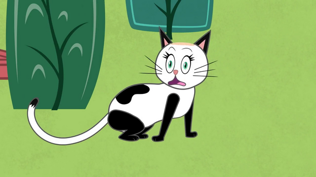 File:Bwcat.png