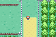 Route 5 start