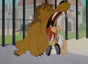 Popeye-lion