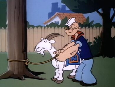 Getting Popeyes Goat-02