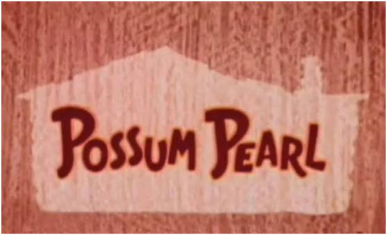 File:P3.PNG