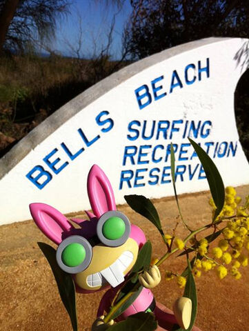 File:AustraliaBellsBeach1.jpg