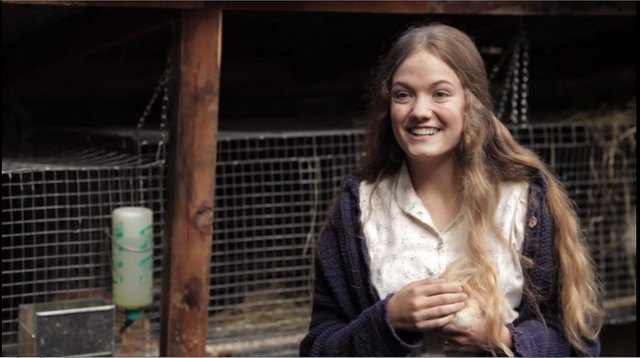 File:Farm 15.png