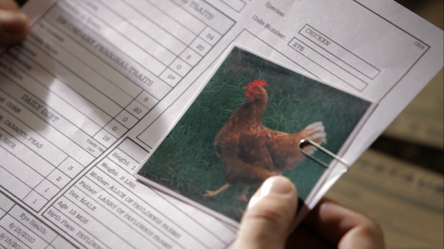 File:Farm 6.png