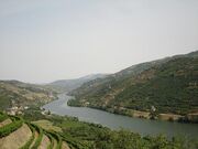 Rio douro