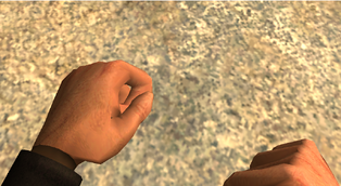 Fists1080
