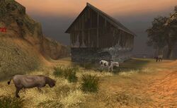 CowPasture