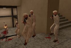 Terrorists