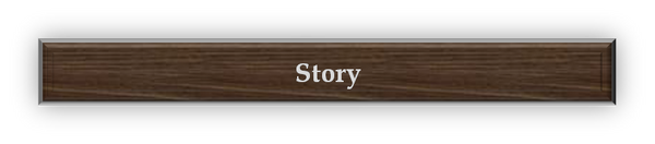 StoryCate