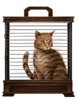 Ginger-cat-lrg