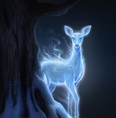 Lily'sDoe