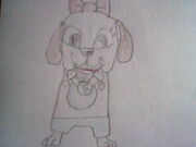 Coolette