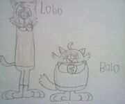 Lobo and Bolo