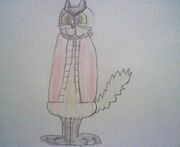 Catgut New Design