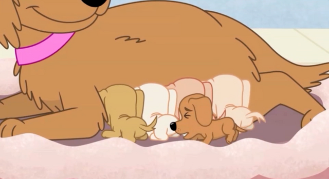 File:Preemie Puppies.png