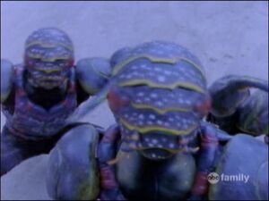 Stingwingers 2