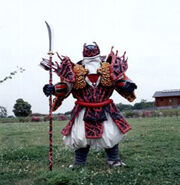 Ginga-vi-budou18