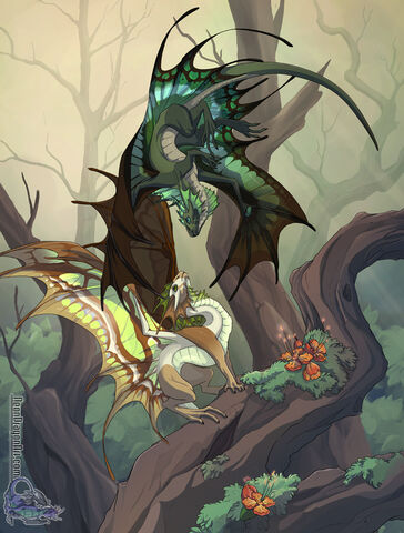 File:Fairy dragons.jpg