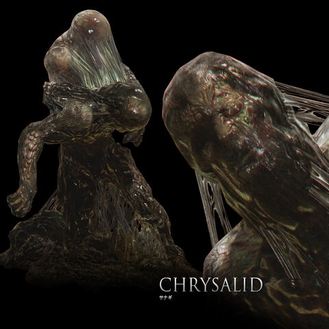 File:Chrysalid.jpg