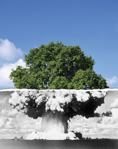 File:War-peace-tree1.jpg