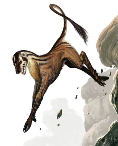 File:Leucrotta.jpeg