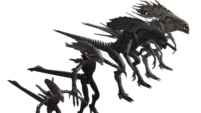 File:1000px-Side2.png
