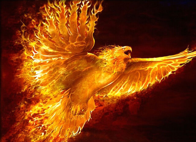 File:FieryPhoenix001.jpg