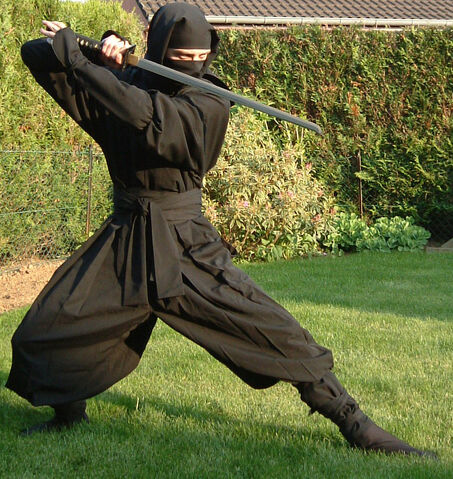 File:Shinobi.jpg