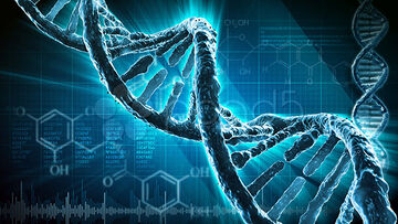 Genetic Manipulation