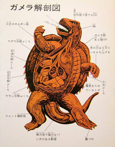 File:Kaiju anatomy 1.jpg