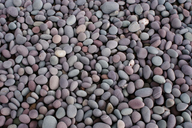 File:Pebbleswithquarzite.jpg